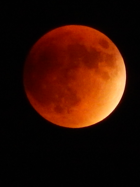 Eclipsed Moon.  Copyright 2015 Madison Link.  Used by permission.