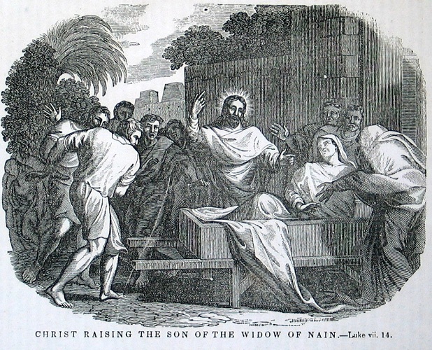 Christ Raising the Son of the Widow of Nain. Click to enlarge. See below for provenance.